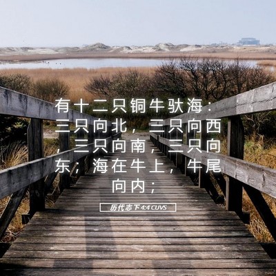 Picture 05 - 历 代 志 下 4:4 CUVS - 有 十 二 只 铜 牛 驮 海 ： 三 只 向 - Bible Verse Picture
