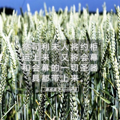 Picture 05 - 历 代 志 下 5:5 CUVS - 祭 司 利 未 人 将 约 柜 运 上 来 ， - Bible Verse Picture