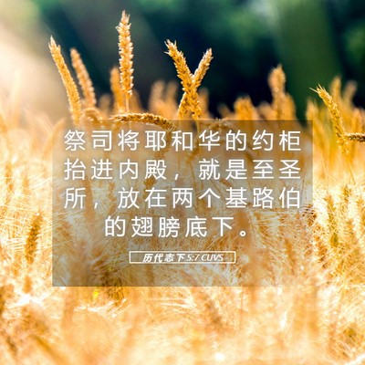 Picture 05 - 历 代 志 下 5:7 CUVS - 祭 司 将 耶 和 华 的 约 柜 抬 进 内 - Bible Verse Picture