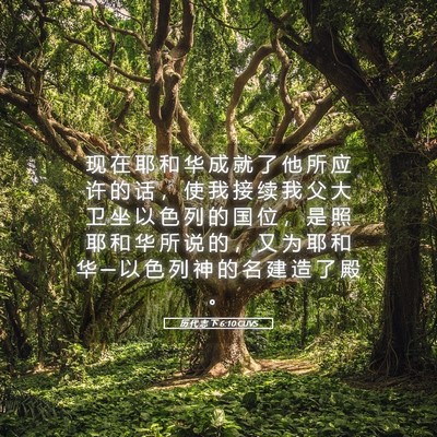 Picture 05 - 历 代 志 下 6:10 CUVS - 现 在 耶 和 华 成 就 了 他 所 应 许 - Bible Verse Picture