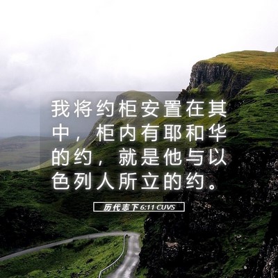 Picture 05 - 历 代 志 下 6:11 CUVS - 我 将 约 柜 安 置 在 其 中 ， 柜 内 - Bible Verse Picture