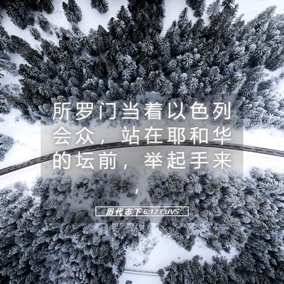 Picture 05 - 历 代 志 下 6:12 CUVS - 所 罗 门 当 着 以 色 列 会 众 ， 站 - Bible Verse Picture