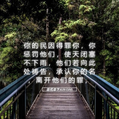 Picture 05 - 历 代 志 下 6:26 CUVS - 你 的 民 因 得 罪 你 ， 你 惩 罚 他 - Bible Verse Picture