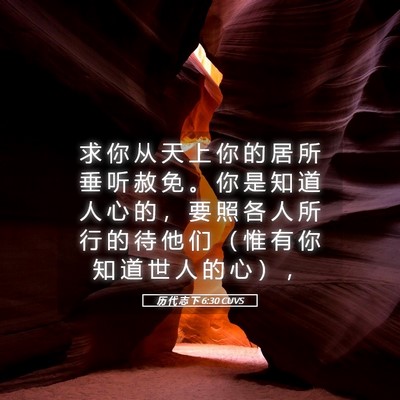 Picture 05 - 历 代 志 下 6:30 CUVS - 求 你 从 天 上 你 的 居 所 垂 听 赦 - Bible Verse Picture