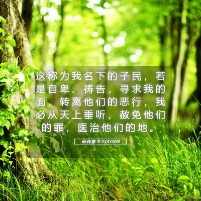 Picture 05 - 历 代 志 下 7:14 CUVS - 这 称 为 我 名 下 的 子 民 ， 若 是 - Bible Verse Picture