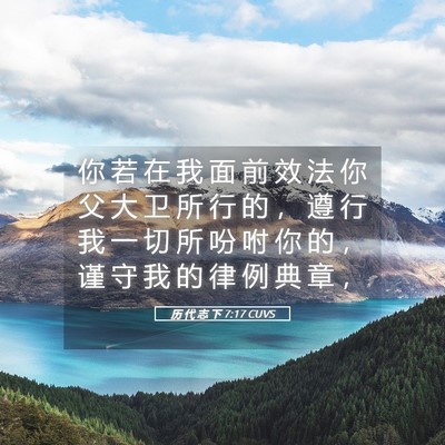 Picture 05 - 历 代 志 下 7:17 CUVS - 你 若 在 我 面 前 效 法 你 父 大 卫 - Bible Verse Picture