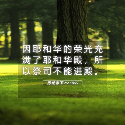 Picture 05 - 历 代 志 下 7:2 CUVS - 因 耶 和 华 的 荣 光 充 满 了 耶 和 - Bible Verse Picture