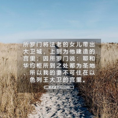 Picture 05 - 历 代 志 下 8:11 CUVS - 所 罗 门 将 法 老 的 女 儿 带 出 大 - Bible Verse Picture
