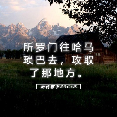Picture 05 - 历 代 志 下 8:3 CUVS - 所 罗 门 往 哈 马 琐 巴 去 ， 攻 取 - Bible Verse Picture