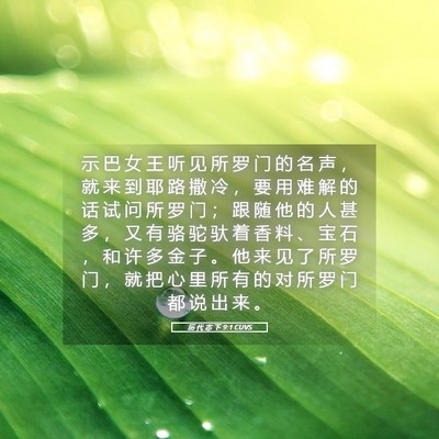 Picture 05 - 历 代 志 下 9:1 CUVS - 示 巴 女 王 听 见 所 罗 门 的 名 声 - Bible Verse Picture