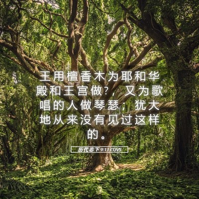 Picture 05 - 历 代 志 下 9:11 CUVS - 王 用 檀 香 木 为 耶 和 华 殿 和 王 - Bible Verse Picture