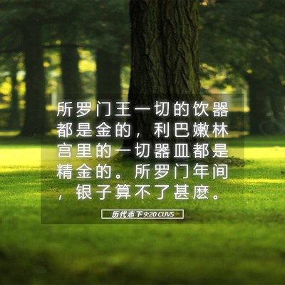 Picture 05 - 历 代 志 下 9:20 CUVS - 所 罗 门 王 一 切 的 饮 器 都 是 金 - Bible Verse Picture