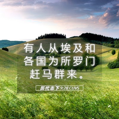 Picture 05 - 历 代 志 下 9:28 CUVS - 有 人 从 埃 及 和 各 国 为 所 罗 门 - Bible Verse Picture