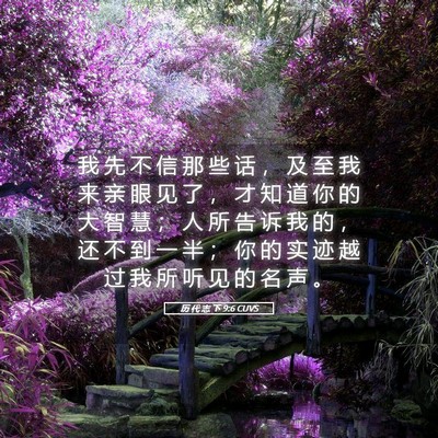 Picture 05 - 历 代 志 下 9:6 CUVS - 我 先 不 信 那 些 话 ， 及 至 我 来 - Bible Verse Picture