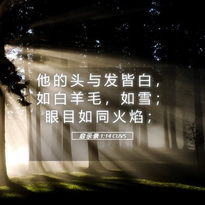Picture 05 - 启 示 录 1:14 CUVS - 他 的 头 与 发 皆 白 ， 如 白 羊 毛 - Bible Verse Picture