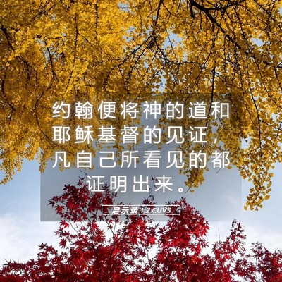 Picture 05 - 启 示 录 1:2 CUVS - 约 翰 便 将 神 的 道 和 耶 稣 基 督 - Bible Verse Picture