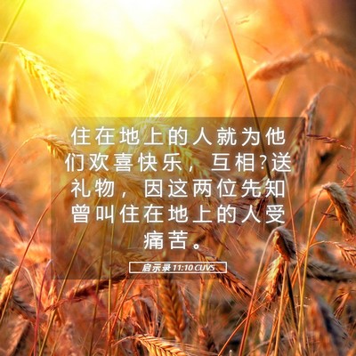 Picture 05 - 启 示 录 11:10 CUVS - 住 在 地 上 的 人 就 为 他 们 欢 喜 - Bible Verse Picture