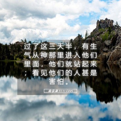 Picture 05 - 启 示 录 11:11 CUVS - 过 了 这 三 天 半 ， 有 生 气 从 神 - Bible Verse Picture