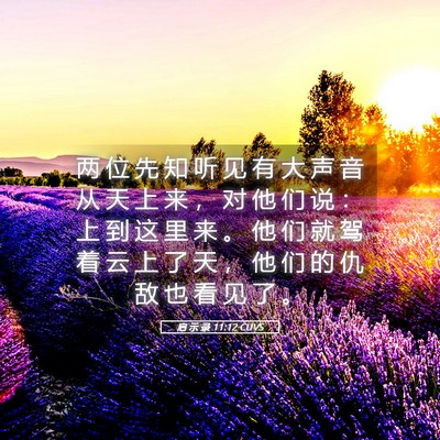 Picture 05 - 启 示 录 11:12 CUVS - 两 位 先 知 听 见 有 大 声 音 从 天 - Bible Verse Picture