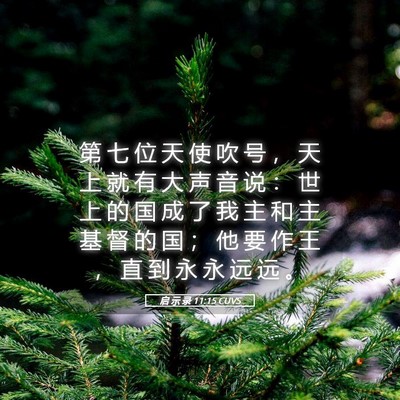Picture 05 - 启 示 录 11:15 CUVS - 第 七 位 天 使 吹 号 ， 天 上 就 有 - Bible Verse Picture