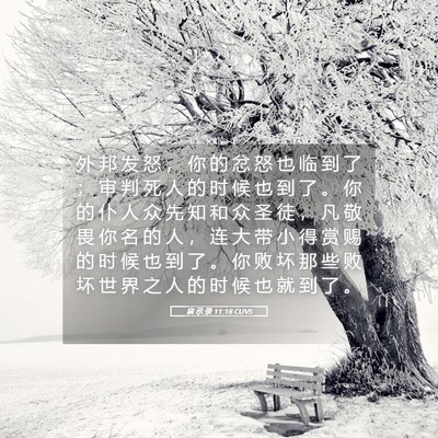 Picture 05 - 启 示 录 11:18 CUVS - 外 邦 发 怒 ， 你 的 忿 怒 也 临 到 - Bible Verse Picture