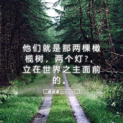 Picture 05 - 启 示 录 11:4 CUVS - 他 们 就 是 那 两 棵 橄 榄 树 ， 两 - Bible Verse Picture