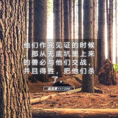 Picture 05 - 启 示 录 11:7 CUVS - 他 们 作 完 见 证 的 时 候 ， 那 从 - Bible Verse Picture