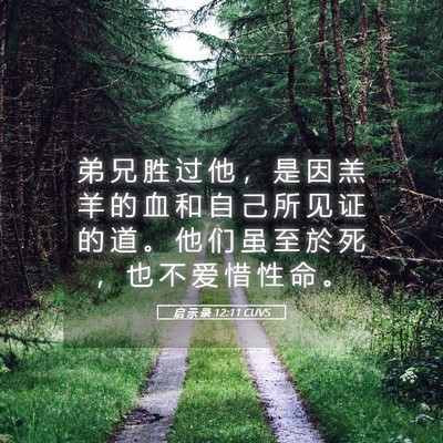 Picture 05 - 启 示 录 12:11 CUVS - 弟 兄 胜 过 他 ， 是 因 羔 羊 的 血 - Bible Verse Picture