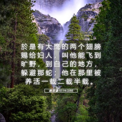Picture 05 - 启 示 录 12:14 CUVS - 於 是 有 大 鹰 的 两 个 翅 膀 赐 给 - Bible Verse Picture