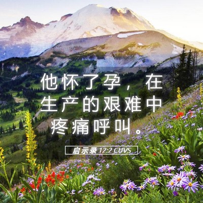 Picture 05 - 启 示 录 12:2 CUVS - 他 怀 了 孕 ， 在 生 产 的 艰 难 中 - Bible Verse Picture