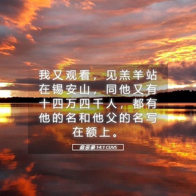 Picture 05 - 启 示 录 14:1 CUVS - 我 又 观 看 ， 见 羔 羊 站 在 锡 安 - Bible Verse Picture