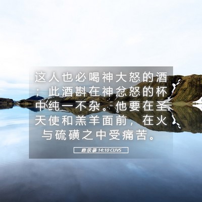 Picture 05 - 启 示 录 14:10 CUVS - 这 人 也 必 喝 神 大 怒 的 酒 ； 此 - Bible Verse Picture