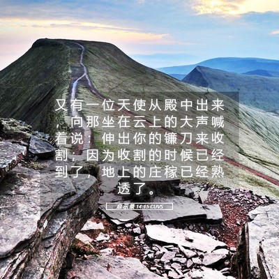 Picture 05 - 启 示 录 14:15 CUVS - 又 有 一 位 天 使 从 殿 中 出 来 ， - Bible Verse Picture