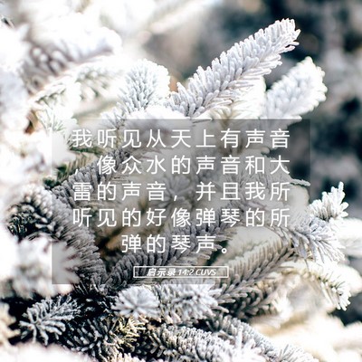 Picture 05 - 启 示 录 14:2 CUVS - 我 听 见 从 天 上 有 声 音 ， 像 众 - Bible Verse Picture