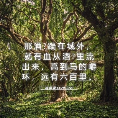 Picture 05 - 启 示 录 14:20 CUVS - 那 酒 ? 踹 在 城 外 ， 就 有 血 从 酒 - Bible Verse Picture