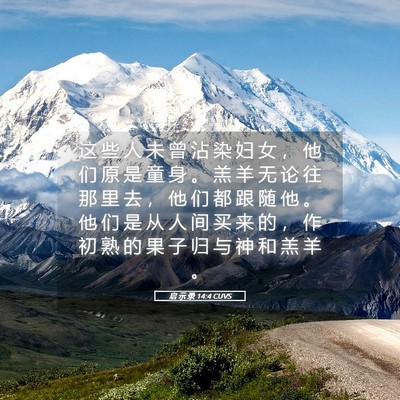 Picture 05 - 启 示 录 14:4 CUVS - 这 些 人 未 曾 沾 染 妇 女 ， 他 们 - Bible Verse Picture