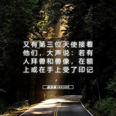 Picture 05 - 启 示 录 14:9 CUVS - 又 有 第 三 位 天 使 接 着 他 们 ， - Bible Verse Picture