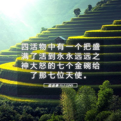 Picture 05 - 启 示 录 15:7 CUVS - 四 活 物 中 有 一 个 把 盛 满 了 活 - Bible Verse Picture