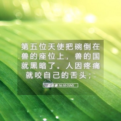 Picture 05 - 启 示 录 16:10 CUVS - 第 五 位 天 使 把 碗 倒 在 兽 的 座 - Bible Verse Picture