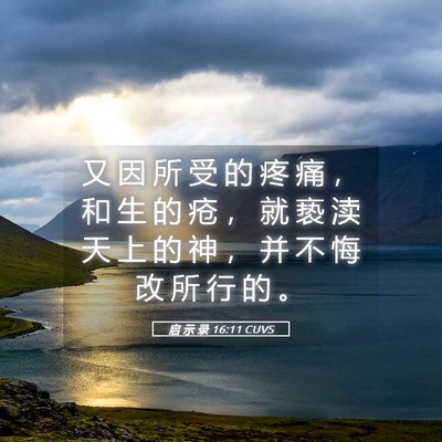 Picture 05 - 启 示 录 16:11 CUVS - 又 因 所 受 的 疼 痛 ， 和 生 的 疮 - Bible Verse Picture