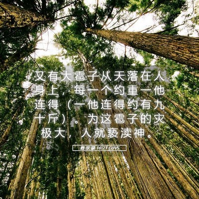 Picture 05 - 启 示 录 16:21 CUVS - 又 有 大 雹 子 从 天 落 在 人 身 上 - Bible Verse Picture