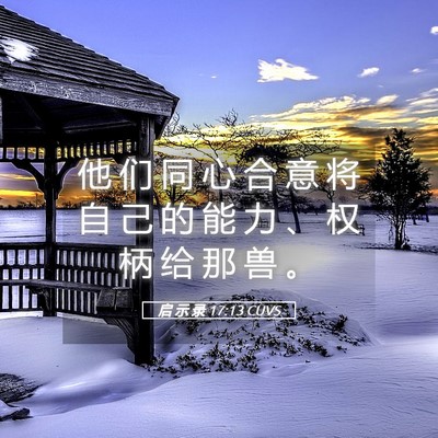 Picture 05 - 启 示 录 17:13 CUVS - 他 们 同 心 合 意 将 自 己 的 能 力 - Bible Verse Picture