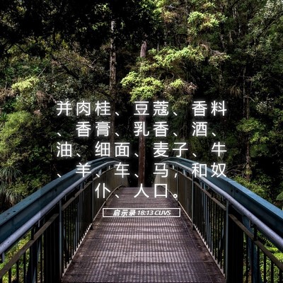 Picture 05 - 启 示 录 18:13 CUVS - 并 肉 桂 、 豆 蔻 、 香 料 、 香 膏 - Bible Verse Picture