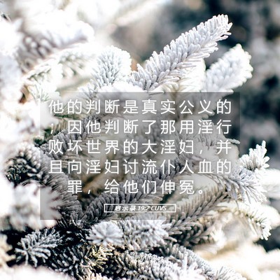Picture 05 - 启 示 录 19:2 CUVS - 他 的 判 断 是 真 实 公 义 的 ； 因 - Bible Verse Picture