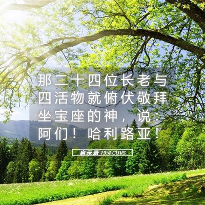 Picture 05 - 启 示 录 19:4 CUVS - 那 二 十 四 位 长 老 与 四 活 物 就 - Bible Verse Picture