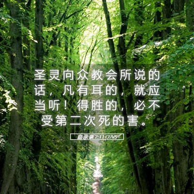 Picture 05 - 启 示 录 2:11 CUVS - 圣 灵 向 众 教 会 所 说 的 话 ， 凡 - Bible Verse Picture