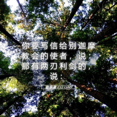 Picture 05 - 启 示 录 2:12 CUVS - 你 要 写 信 给 别 迦 摩 教 会 的 使 - Bible Verse Picture