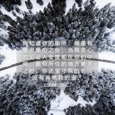 Picture 05 - 启 示 录 2:13 CUVS - 我 知 道 你 的 居 所 ， 就 是 有 撒 - Bible Verse Picture