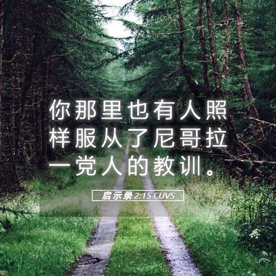 Picture 05 - 启 示 录 2:15 CUVS - 你 那 里 也 有 人 照 样 服 从 了 尼 - Bible Verse Picture