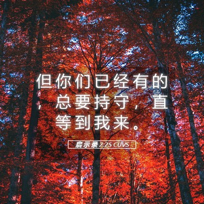 Picture 05 - 启 示 录 2:25 CUVS - 但 你 们 已 经 有 的 ， 总 要 持 守 - Bible Verse Picture